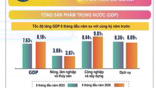 Tình hình kinh tế - xã hội 6 tháng đầu năm 2026