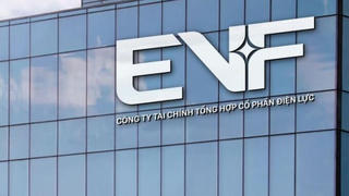 EVF ghi nhận lợi nhuận 6 tháng đầu năm 2026 tăng gần 16,9%