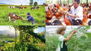 Chính sách mới có hiệu lực từ tháng 8/2025