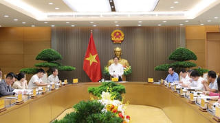 Phó thủ tướng: Rà soát bảng giá đất, hệ số điều chỉnh, tiền thuê đất, cưỡng chế thuế