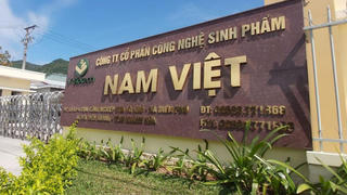 Lãnh đạo Nam Việt đã mua vào 1 triệu cổ phiếu ANV
