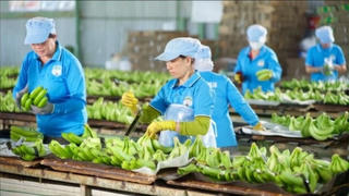HGI của Hoàng Anh Gia Lai được định giá 11.350 tỷ đồng