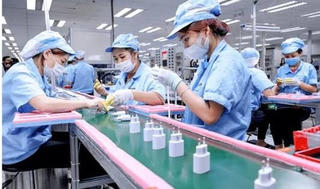ISO 9001 giúp doanh nghiệp chuẩn hóa quy trình và cải tiến liên tục