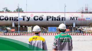Một cá nhân bị phạt 1,5 tỷ đồng vì thao túng cổ phiếu MTG trong thời gian dài