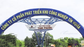 TIP tạm ứng cổ tức đợt 1/2026 bằng tiền, tỷ  lệ 12%