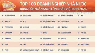 Petro Vietnam, Viettel, Petrolimex dẫn đầu về nộp ngân sách lớn nhất