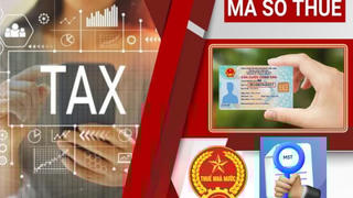 Gần 95.000 doanh nghiệp, tổ chức hoàn tất chấm dứt hiệu lực mã số thuế
