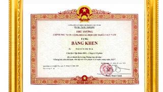 Madame Nguyễn Thị Nga và Tập đoàn BRG vinh dự được trao tặng bằng khen của Thủ tướng Chính phủ