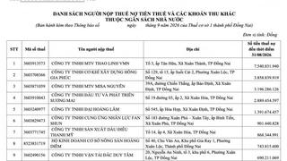 Gần 1.700 doanh nghiệp ở Đồng Nai nợ hơn 46 tỷ đồng tiền thuế và các khoản thu ngân sách