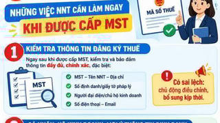 Ba việc người nộp thuế cần làm ngay sau khi được cấp mã số thuế