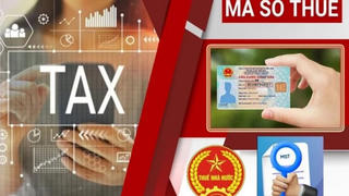 10 trạng thái mã số thuế người nộp thuế cần đặc biệt lưu ý