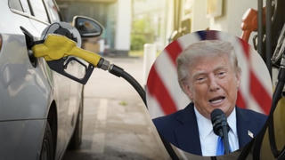 Tổng thống Trump cân nhắc cấm xuất khẩu dầu diesel