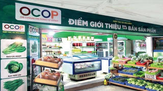 Phát triển sản phẩm OCOP theo định hướng nâng cao chất lượng và sức cạnh tranh