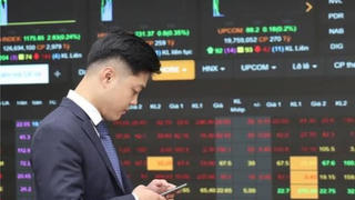 VN-Index giảm 19 điểm, nhóm cổ phiếu vốn hóa lớn suy yếu