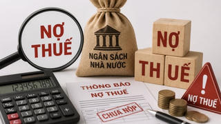 S-Solution Vina, Xây dựng Hồng Hà Vĩnh Phúc... nợ thuế