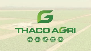 Thaco Agri bị phạt 92,5 triệu đồng do chậm công bố hàng loạt báo cáo