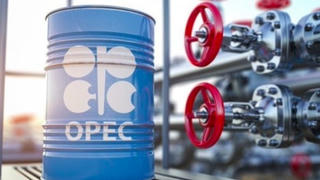 OPEC+ giữ nguyên sản lượng, giá dầu vẫn trên 100 USD/thùng