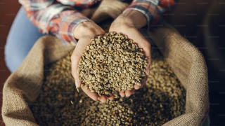 Xuất khẩu cà phê hơn 6 tỷ USD, làm sao tăng thêm giá trị?
