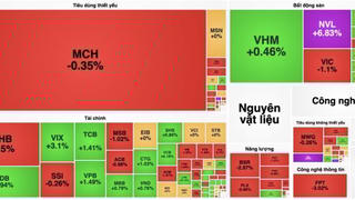 Thị trường giằng co, VN-Index mất gần 4 điểm