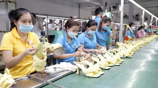 Khu vực doanh nghiệp tư nhân nộp ngân sách gần 500 nghìn tỷ đồng trong 9 tháng