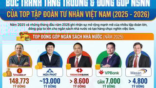 Bức tranh tăng trưởng và đóng góp NSNN của Top tập đoàn tư nhân Việt Nam (2025 - 2026)