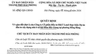 Hải Phòng giao hơn 49.000 m² đất cho H&T Land làm nhà ở xã hội Đầm Bắc Giang