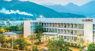 Công ty CP Cao su Đà Nẵng miễn nhiệm Tổng giám đốc bị khởi tố