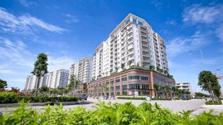 Đại Quang Minh bị phạt 875 triệu đồng vì chậm báo cáo bán nhà cho người nước ngoài