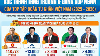 Bức tranh tăng trưởng và đóng góp NSNN của Top tập đoàn tư nhân Việt Nam