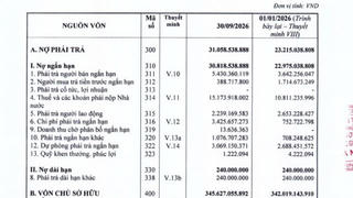 Halico lỗ lũy kế hơn 466 tỷ đồng
