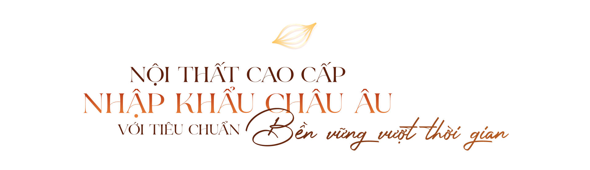 Cận cảnh bộ sưu tập căn hộ đầu tiên tại đô thị khoáng nóng Alluvia City: Chuẩn mực của thiết kế hoàn hảo 