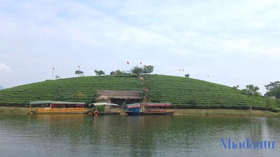 Nghệ An đề nghị chấm dứt dự án Cầu Cau hơn 1.500 tỷ của Cienco4