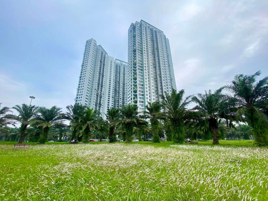 Hạ lãi suất - tín hiệu vui cho thị trường bất động sản