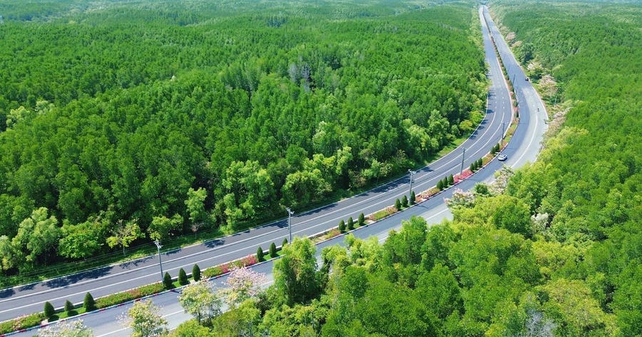 Vingroup được giao đầu tư dự án nâng cấp đường Rừng Sác 19.000 tỷ kết nối Cần Giờ 