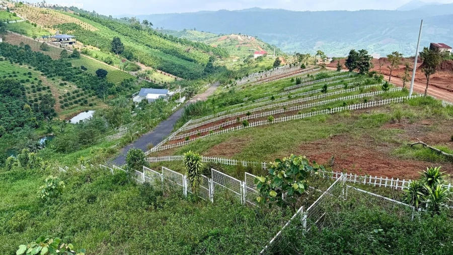 Đất nền vùng ven TP.HCM: rao cắt lỗ 4 năm vẫn khó bán, thanh khoản gần như đóng băng