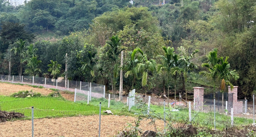 Hà Nội: Chuyển đất vườn, ao, đất nông nghiệp sang đất ở nộp 30%-100% chênh lệch