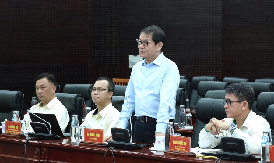 THACO đề xuất dự án 4.600 ha trồng Sâm Ngọc Linh tại Đà Nẵng