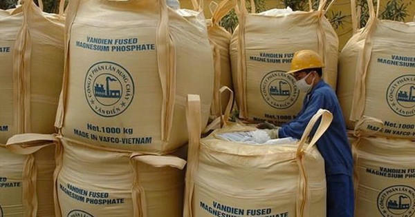 VAF bị HoSE nhắc nhở vì chậm công bố BCTC quý I/2026