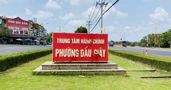 Đồng Nai chuẩn bị vận hành chính quyền đô thị khi lên thành phố