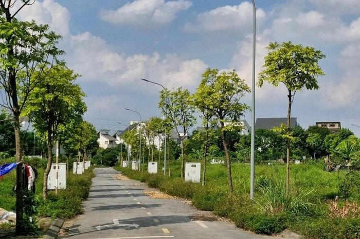 Hà Nội xem xét chính sách gỡ vướng đất dịch vụ và nhà tập thể cũ