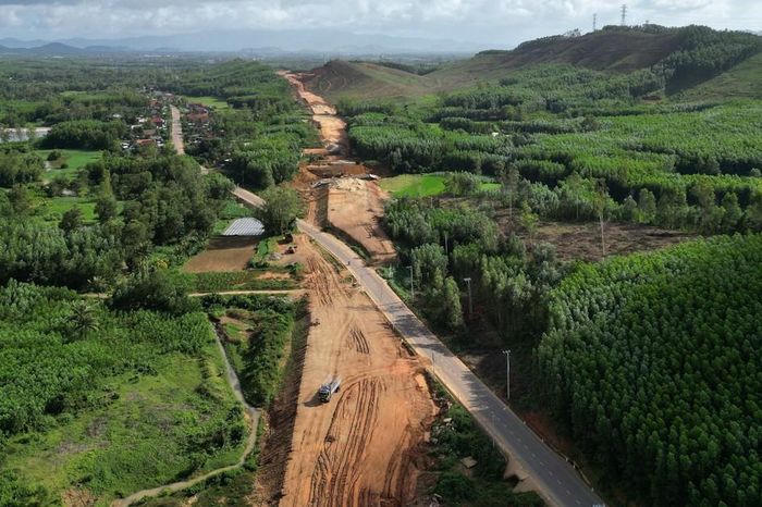 Gia Lai chuyển đổi 52,78ha rừng làm đường nối cao tốc Bắc - Nam