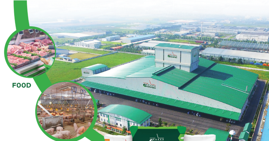 GreenFeed lãi 3.656 tỷ đồng, hệ sinh thái chăn nuôi 4.600 nhân sự