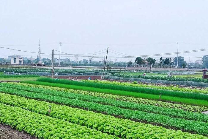 Những trường hợp không được cấp sổ đỏ năm 2026 theo Luật Đất đai 2024