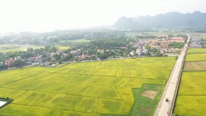 Hạn mức sử dụng đất nông nghiệp theo Luật Đất đai 2024