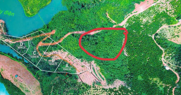 Tin vui cho người mua đất giấy tay trước 2024