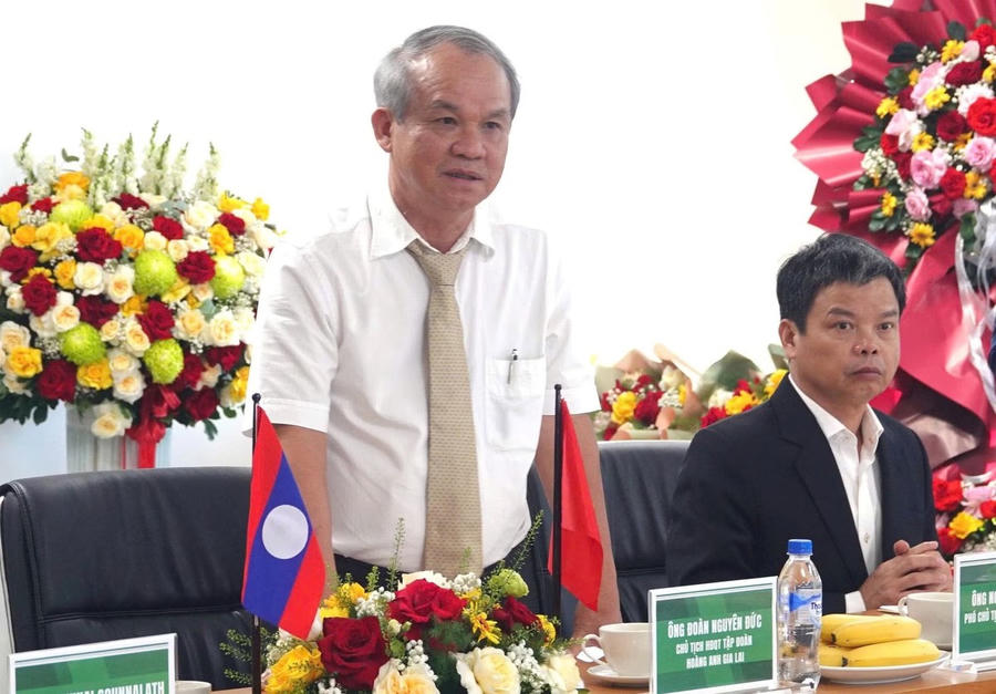 Bắt tay với tỉnh Champasak, Bầu Đức muốn trồng 5.000 ha "vàng đen" của Việt Nam