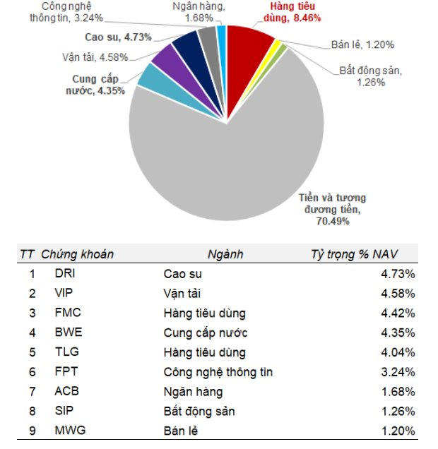 SGI Capital “bắt đáy” FPT: Quỹ giữ tiền mặt 70,5%
