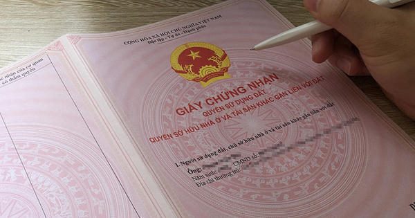 Đề xuất cấp sổ hồng cho đất mua giấy tay: Cần lưu ý gì?