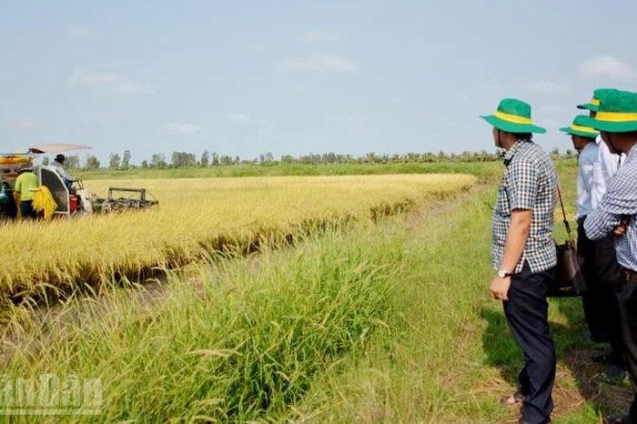 Sai phạm quản lý đất đai ở xã Đông Hòa, An Giang