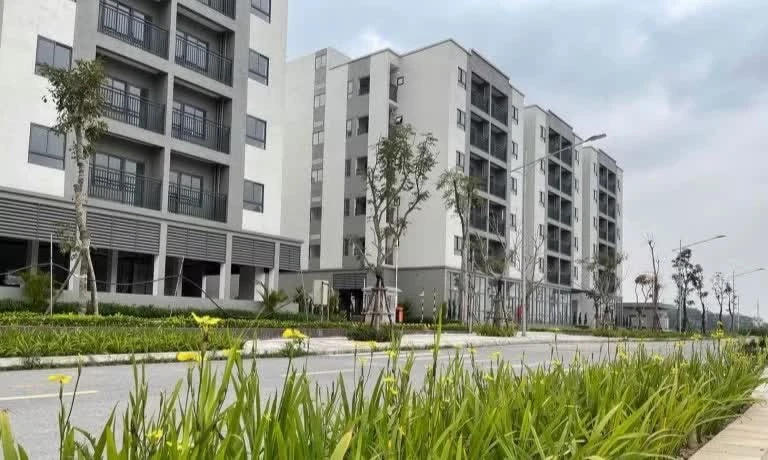 Nhà ở xã hội Quang Minh, Hà Nội: Gần 180 căn giá dưới 1 tỷ đồng